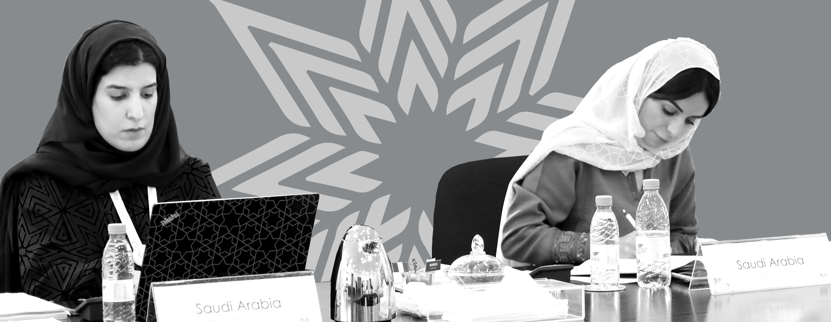 كسب التأييد