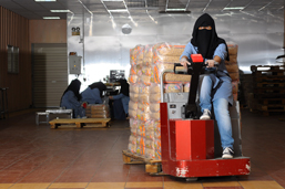 إطلاق برنامج التأهيل المهني و التوظيف